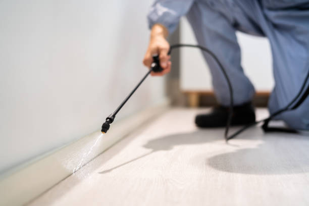Licensed Exterminator service in Vernon, TX - Show Me Pest Control